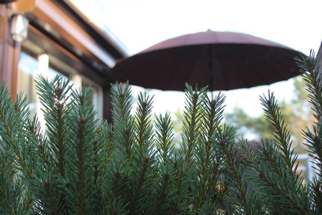 Holiday Terrace Нида Экстерьер фото